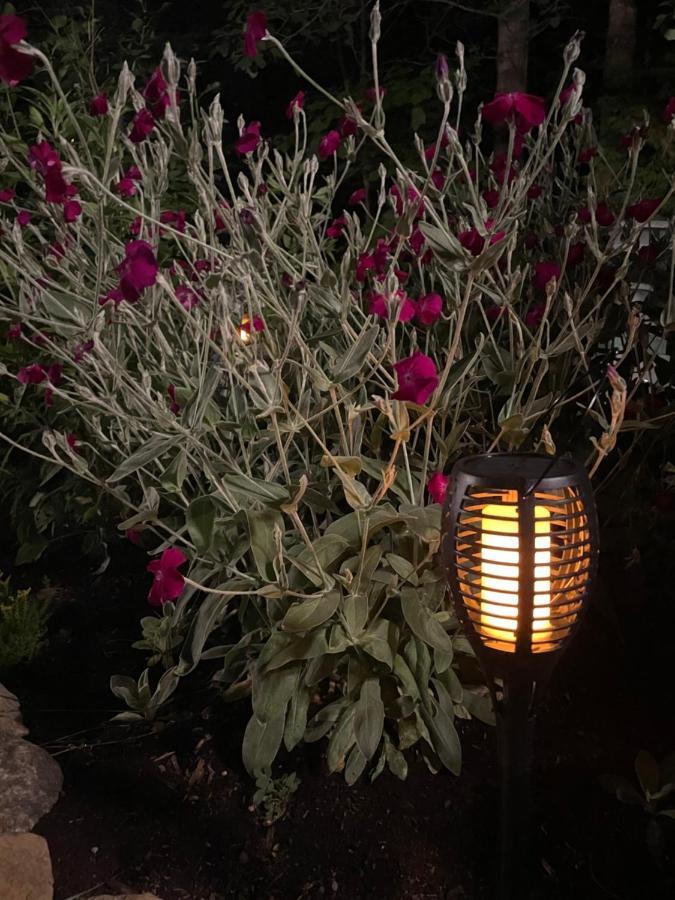 Gite Nature Et Confiture Esterel Εξωτερικό φωτογραφία